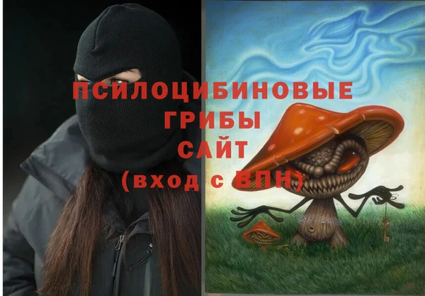 прущая мука Богородицк